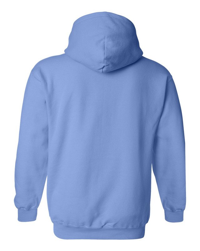 Blue Sky Basic Hoodie Cotton Fleece