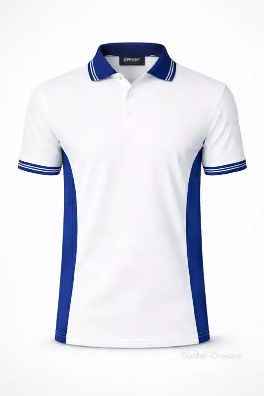 Two Color Panel Polo Shirt Bold