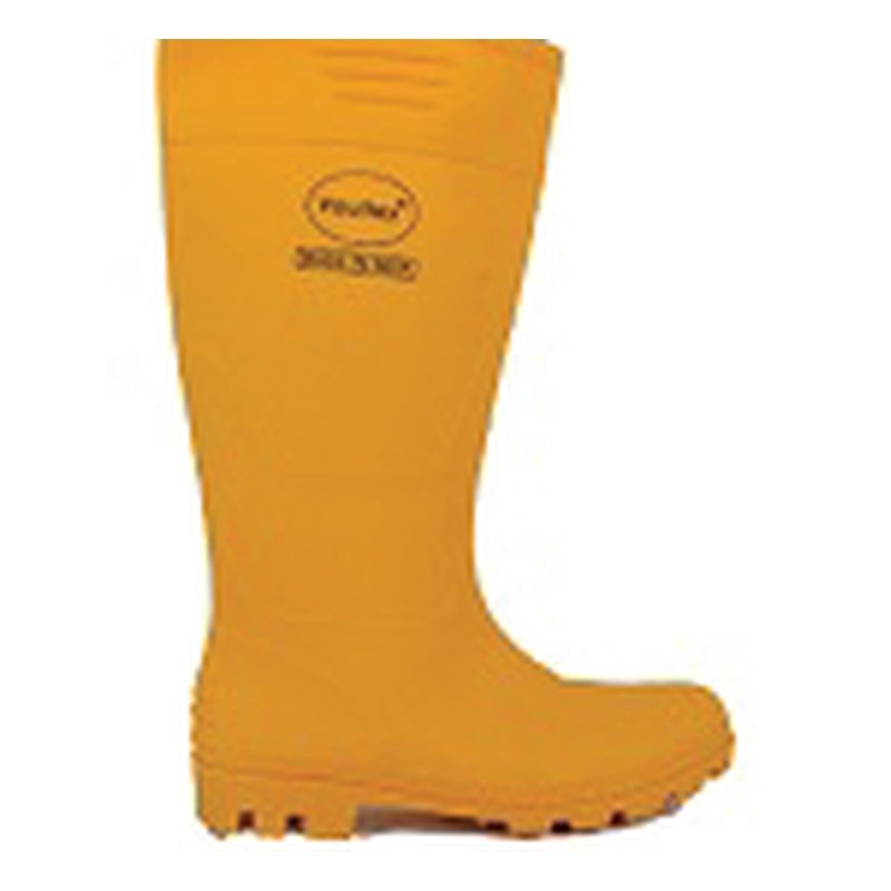 Sg Safety Footwear